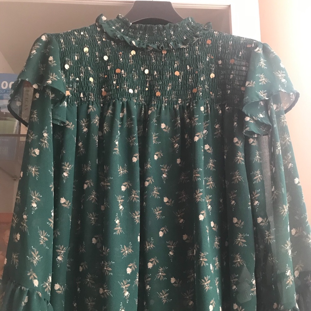 ZARA sheer ruffled floral top